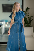 Structured A-Line Denim Day Dress