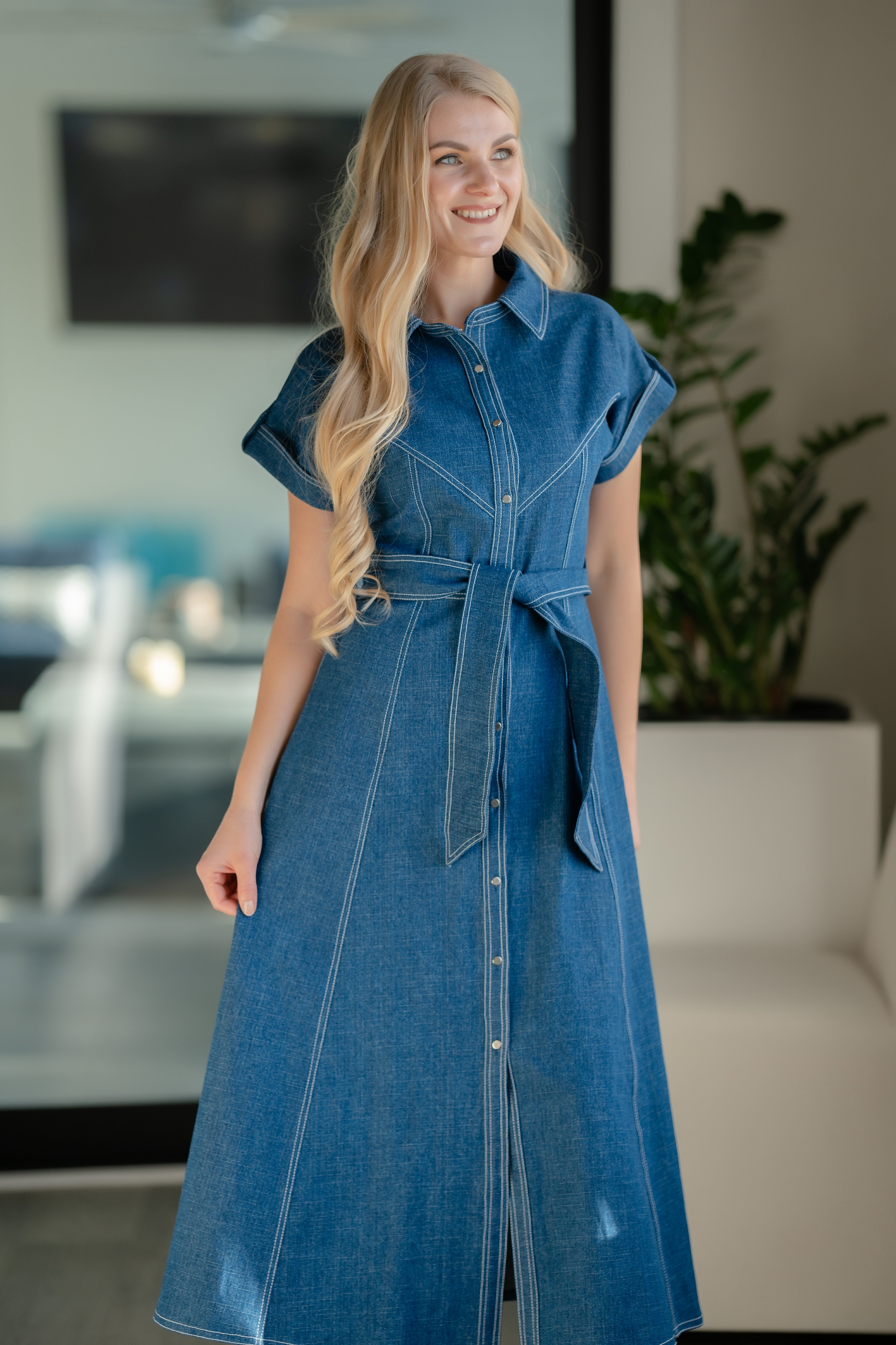 Structured A-Line Denim Day Dress