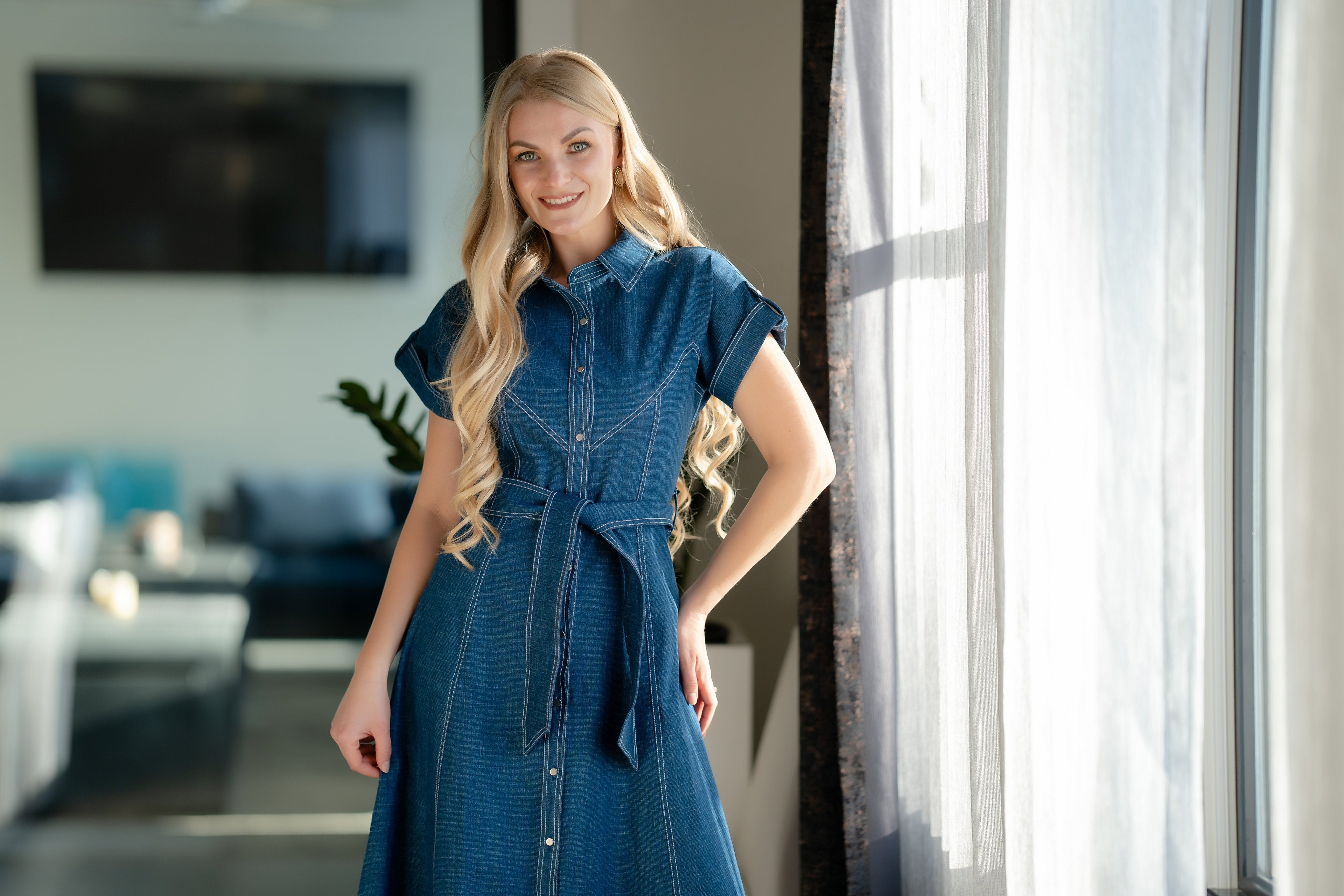 Structured A-Line Denim Day Dress
