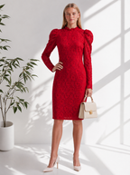 Scarlet Ruffle-Neck Lace Dress
